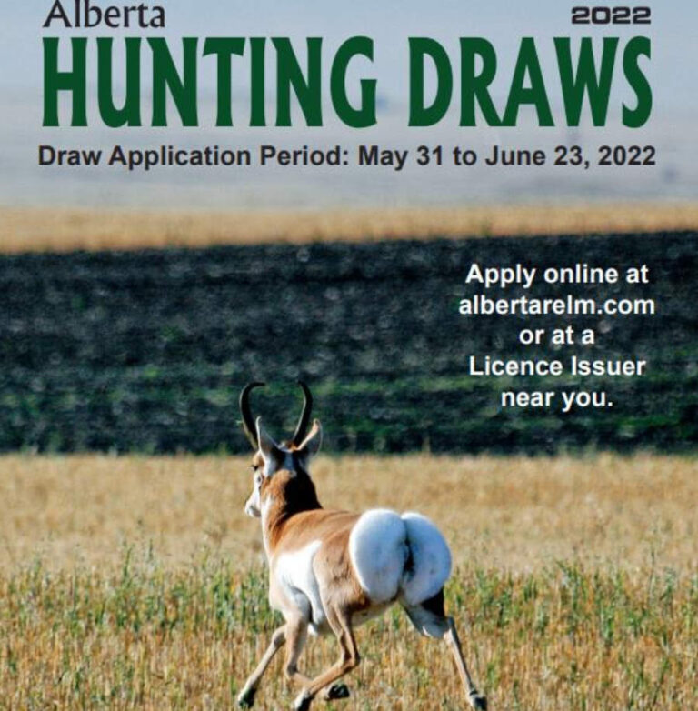 Hunting Draw Strategies