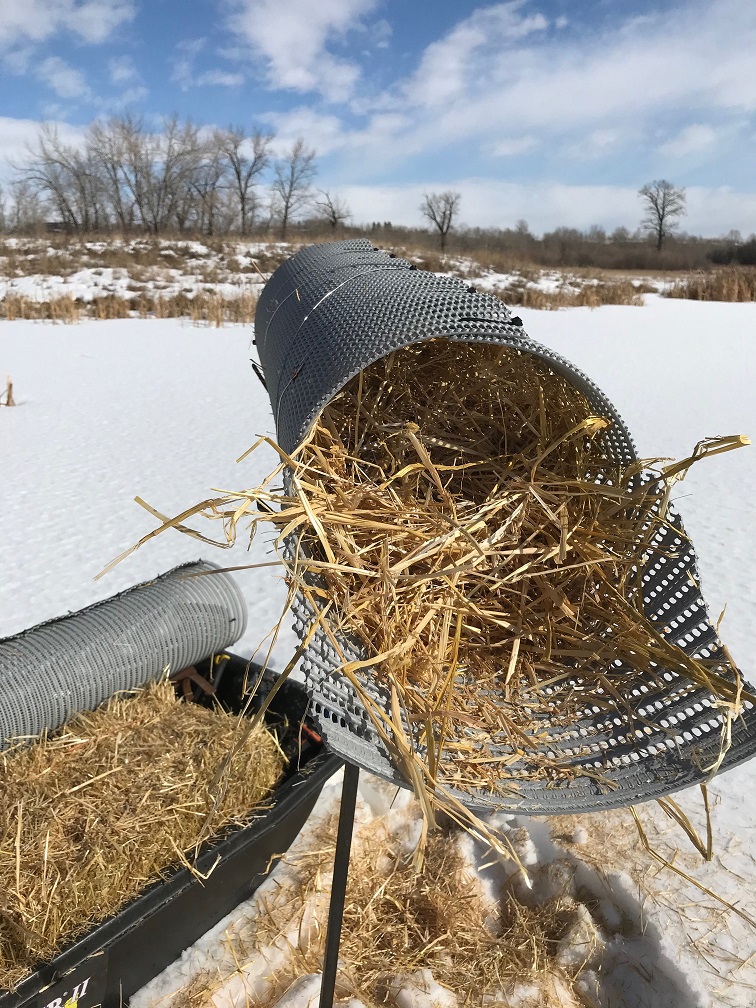 Mallard Duck Nests – Jim Graham Park